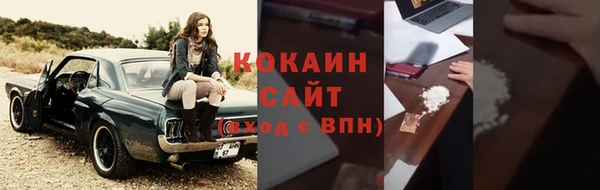 ГАЛЛЮЦИНОГЕННЫЕ ГРИБЫ Осинники