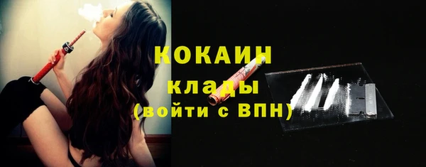 ГАЛЛЮЦИНОГЕННЫЕ ГРИБЫ Осинники
