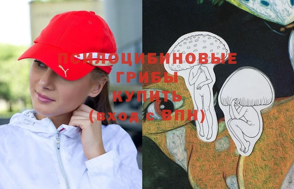 кокс Алзамай