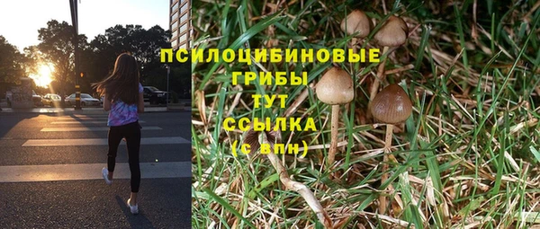 гашик Абаза