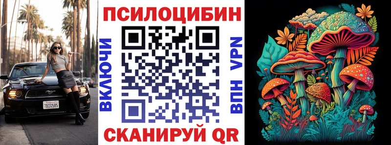 наркошоп  Сычёвка  нарко площадка как зайти  Галлюциногенные грибы Psilocybine cubensis 